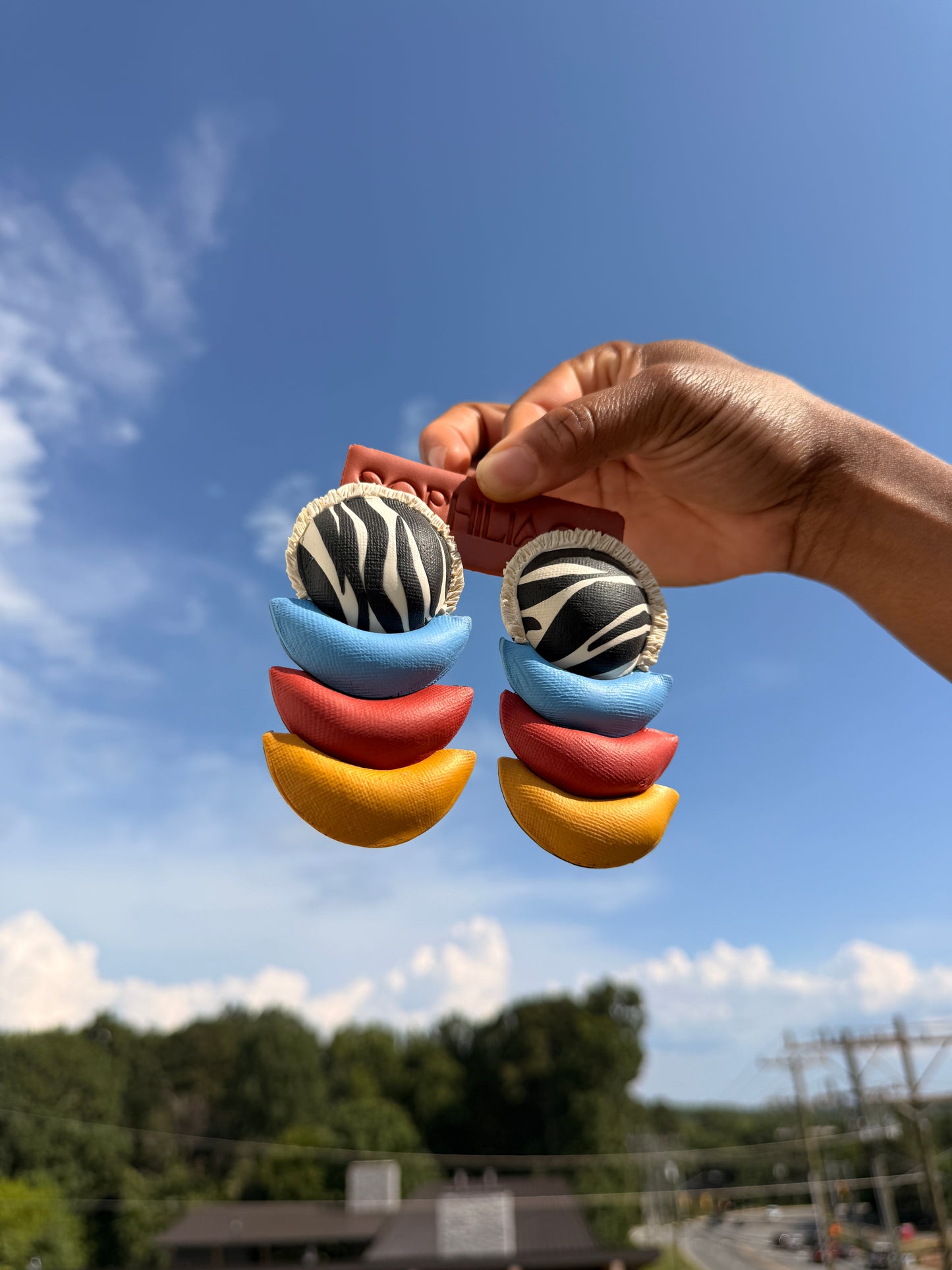 Joyride: Zebra Print
